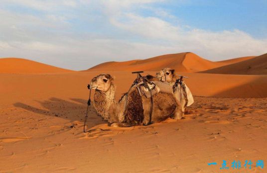 对阿拉伯人来说，沙子的地位仅次于水